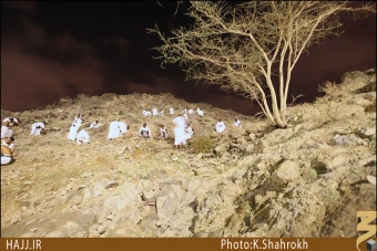 جمع آوري سنگ در مشعر