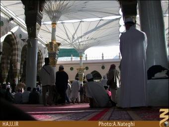 حديقه الزهراء