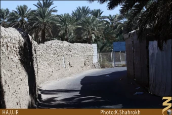 مزارع سلمان فارسي