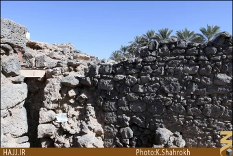 مزارع سلمان فارسي