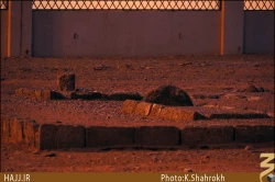 قبرستان احد