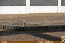 قبرستان احد