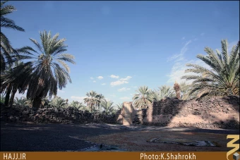 مسجد توبه