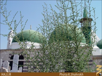 زينب صغري، ام كلثوم بنت علي بن ابي طالب