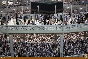 سازه جديد