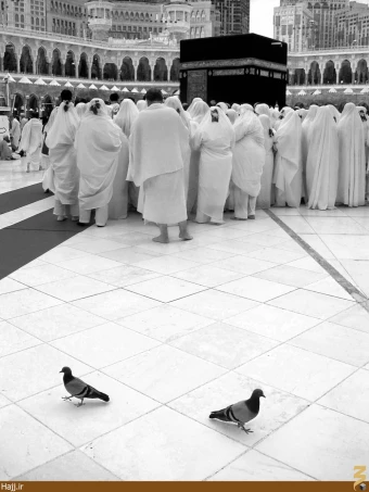جشنواره ديدار