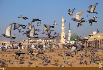 جشنواره ديدار