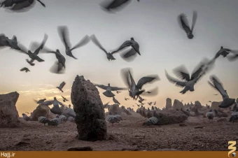جشنواره ديدار