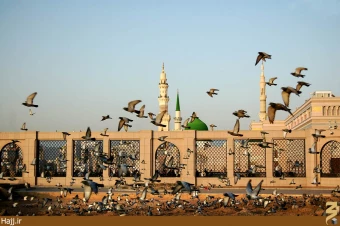 جشنواره فجر قم