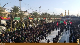 صدرا انصاري پور