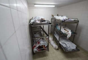 پيكر معترضان فلسطيني پس از اينكه ديگر توان مبارزه را از دست دادند و به شهادت رسيدند، به بيمارستان منتقل شده است.