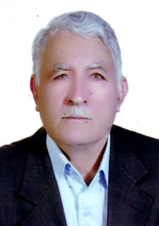 بشيري گودرزي، غضنفر