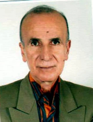 بهرام پرور، محمد علي