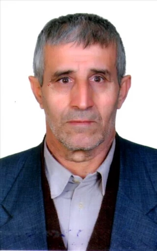 جعفري، سيد نصر الله