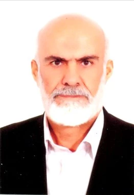 حجتي، سيد حسين