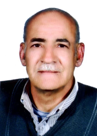 خالو احمدي، مرتضي