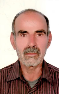 برومند، علي نظر