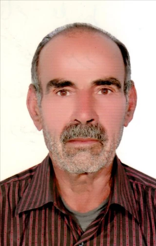 برومند، علي نظر
