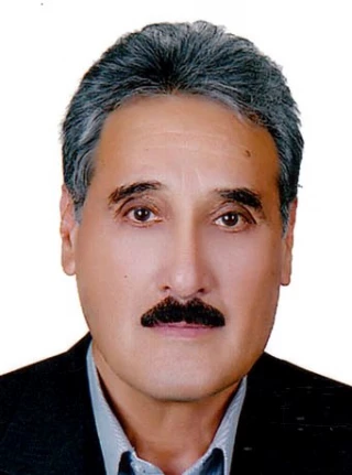 بهلكه، محمد ولي
