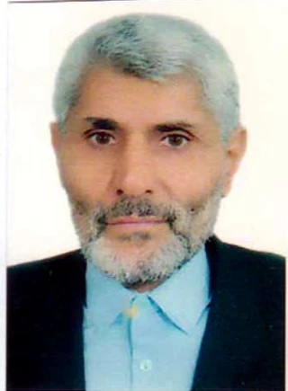 حسيني سراوائي، حيدر