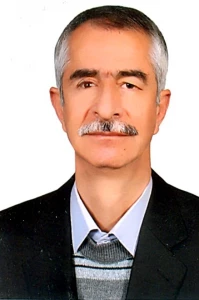 خاكسار حقاني دهكردي، حميد رضا