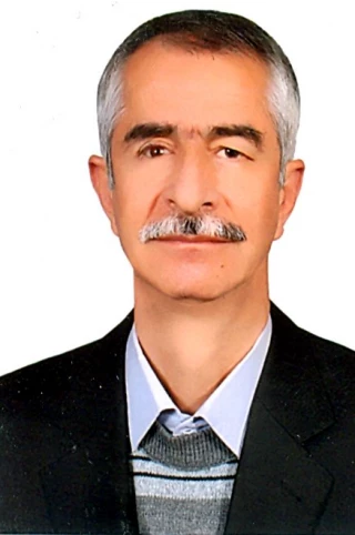خاكسار حقاني دهكردي، حميد رضا