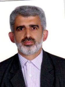 رضي كاظمي، محمد جواد