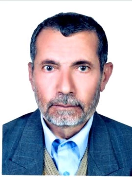 روشني، محمد علي
