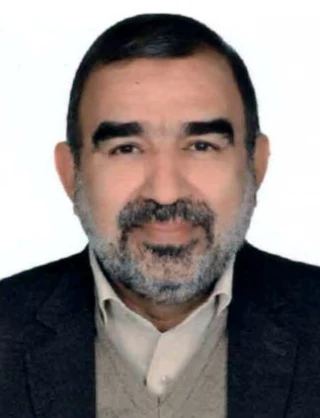 رييس زاده، سيد مرتضي