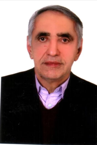 سلحشور واسكس، محمد مهدي