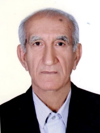 شاكرين، غلامرضا