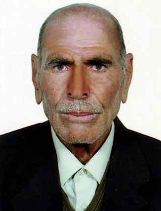 شاه محمدي، محمد