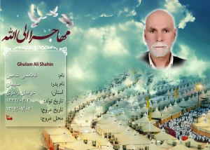 شاهين، غلامعلي