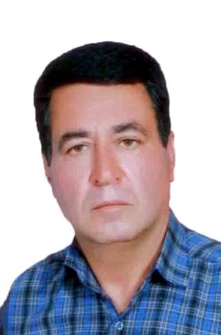 صابري فوداني، علي