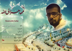 صديقي، حسام الدين
