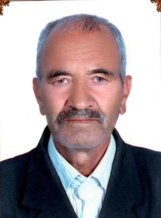 عارفخاني، رضا