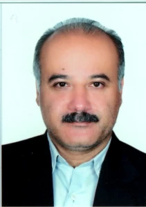 كاشفي، حسن