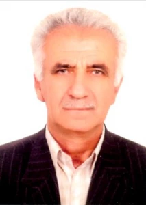 گرجي، مجتبي