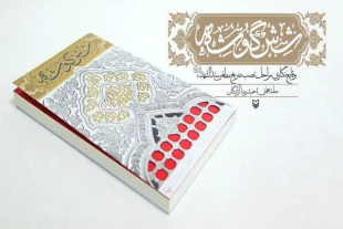شش گوشه مستندنگاري از نصب ضريح حرم امام‌حسين(ع)