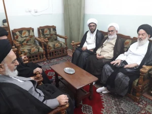 دیدار مسئول بعثه مقام معظم رهبری نجف با امام جمعه نجف اشرف
