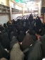 جشن میلاد امام رضا (ع)