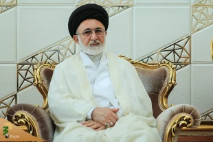 سرپرست حجاج ایرانی:انعکاس رسانه ای حج ایرانیان، ترفندهای دشمنان را خنثی می کند 2