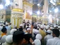 نژادهای مختلف در حریم پیامبر مهربانی ها 13