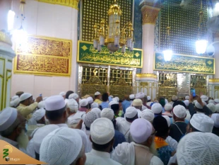 نژادهای مختلف در حریم پیامبر مهربانی ها 14