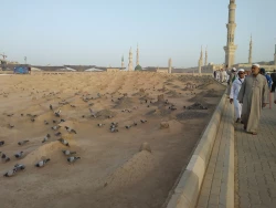 بهشت بقیع پذیرای زائران ایرانی  2