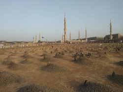 بهشت بقیع پذیرای زائران ایرانی  4