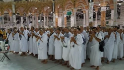 میزبانی مسجدالحرام از ضیوف الرحمان 11