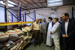 بازدید سرپرست حجاج ایرانی از آشپزخانه های مرکزی مدینه منوره- گزارش تصویری 3