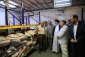 بازدید سرپرست حجاج ایرانی از آشپزخانه های مرکزی مدینه منوره- گزارش تصویری 3