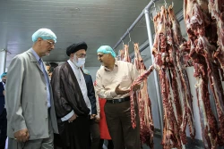 بازدید سرپرست حجاج ایرانی از آشپزخانه های مرکزی مدینه منوره- گزارش تصویری 7